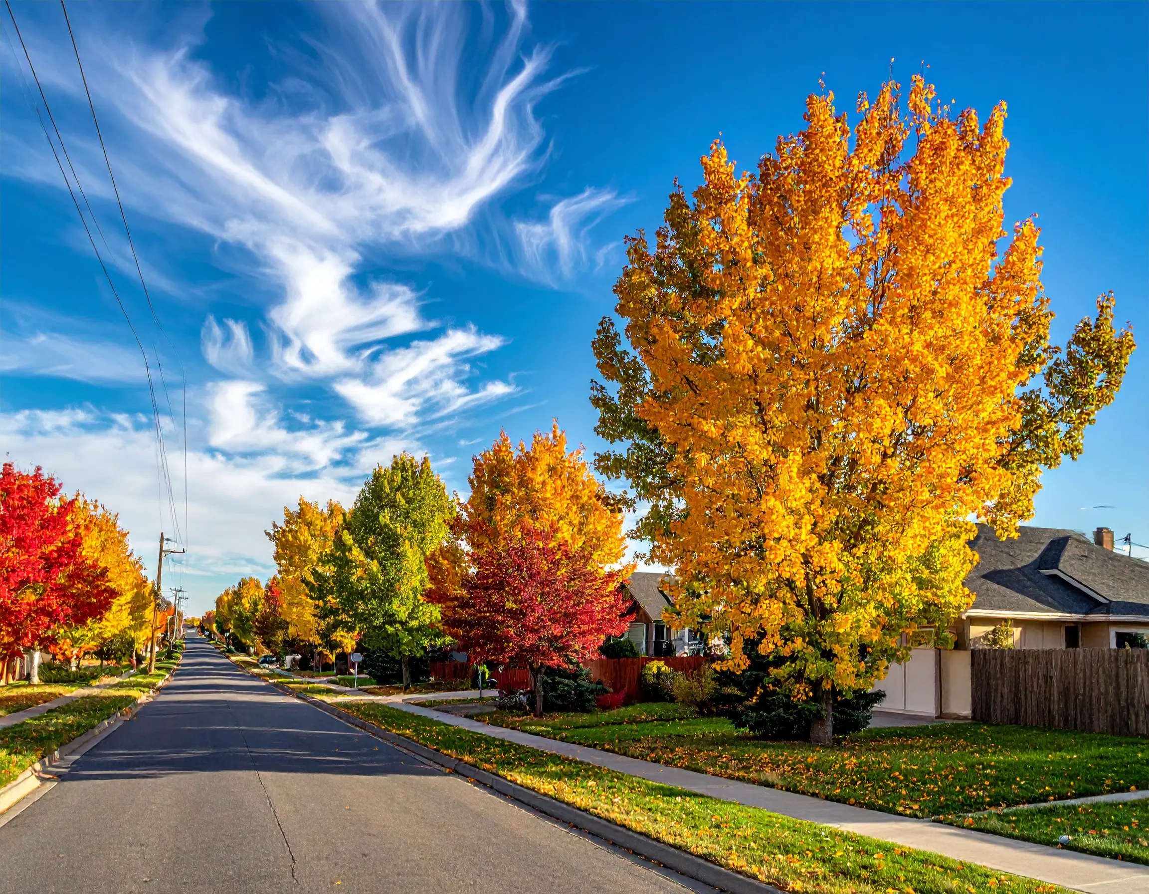 A quiet suburban street in Warman, Saskatchewan lined with homes and autumn trees under a bright blue sky.